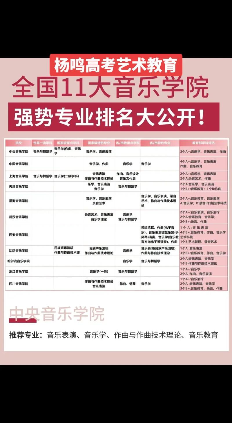 考音乐学院需要学什么专业?考音乐学院需要学什么专业知识