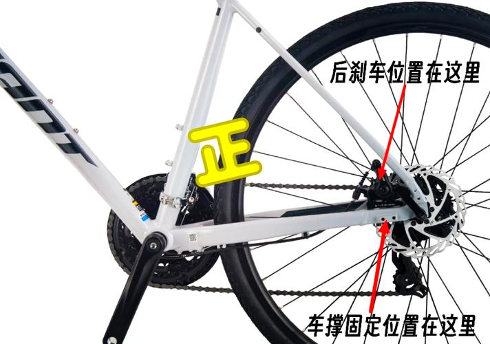 捷安特车架s号和m号区别?捷安特车架号含义