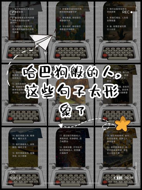 哈巴狗比喻哪一类人??哈巴狗比喻什么人