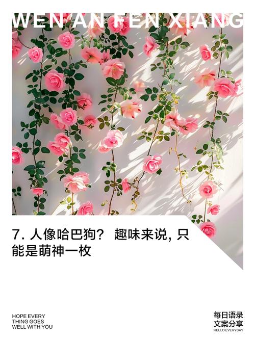 哈巴狗比喻哪一类人??哈巴狗比喻什么人