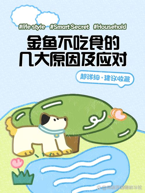 金鱼不吃饲料怎么办??金鱼不吃鱼饲料可以养活吗