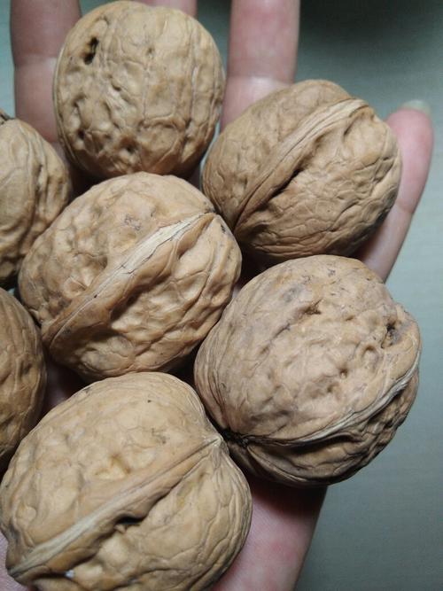 漂白过的核桃能吃吗？漂白过的核桃果肉是什么样的?