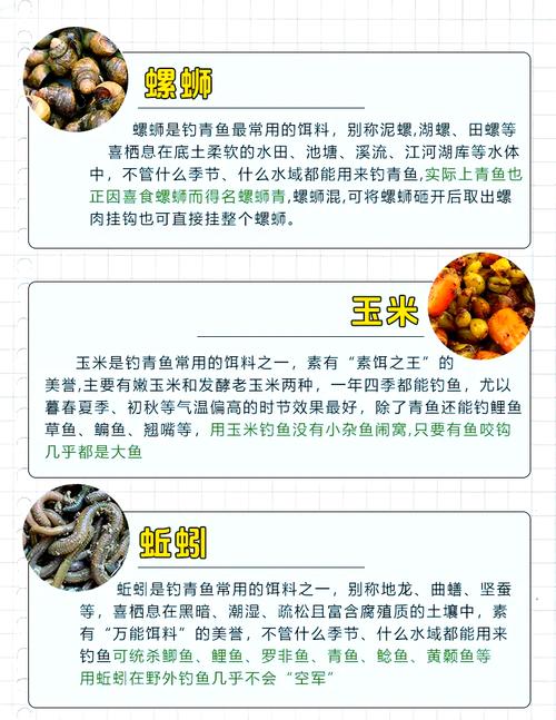青虫钓什么鱼最好用?用来钓鱼的青虫是怎样养殖