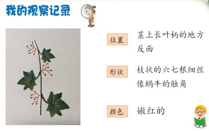 爬山虎的绿叶均匀的铺在墙上改写成比喻句?爬山虎的叶子绿得什么