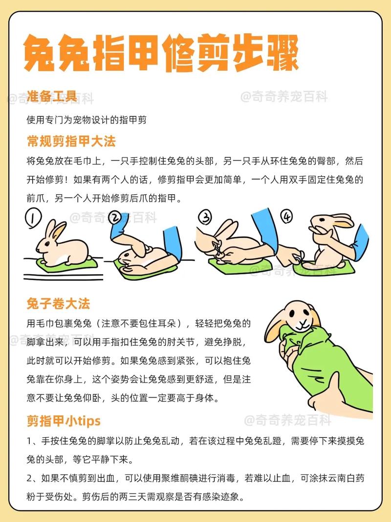 能帮兔子剪指甲吗？能帮兔子剪指甲吗图片