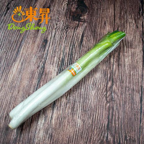 京葱是什么品种的葱?京葱功效和药用价值