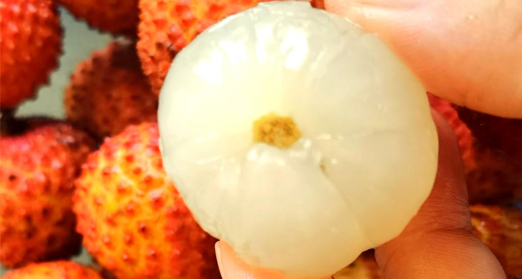 荔枝变褐色还能吃吗?荔枝里面变色