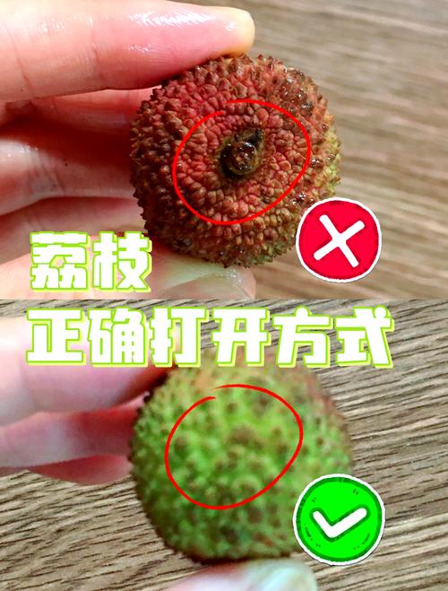 去除荔枝核小妙招?去除荔枝核小妙招有哪些