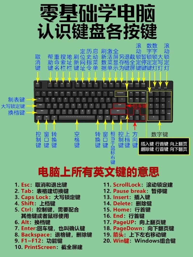 什么是主键,主键的特点是什么??什么是主键,主键的特点是什么意思