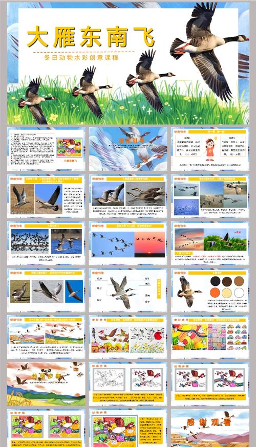 秋天大雁从什么方飞往什么方?秋天大雁从哪一方飞到哪一方