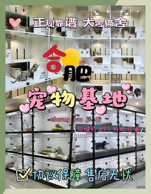 合肥宠物店宠物价格表?合肥宠物店哪家好