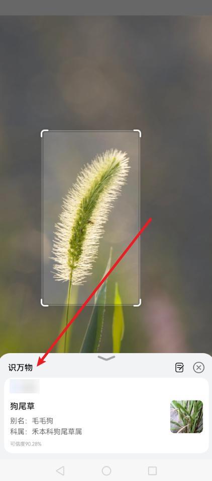 看见不认识的花草,打开这个设置,扫一下就能知道名字