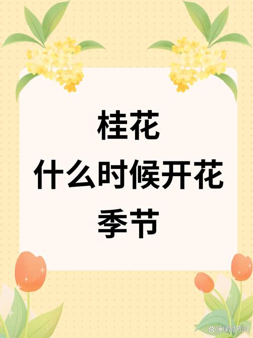 桂花是什么季节开的?桂花是啥季节开的