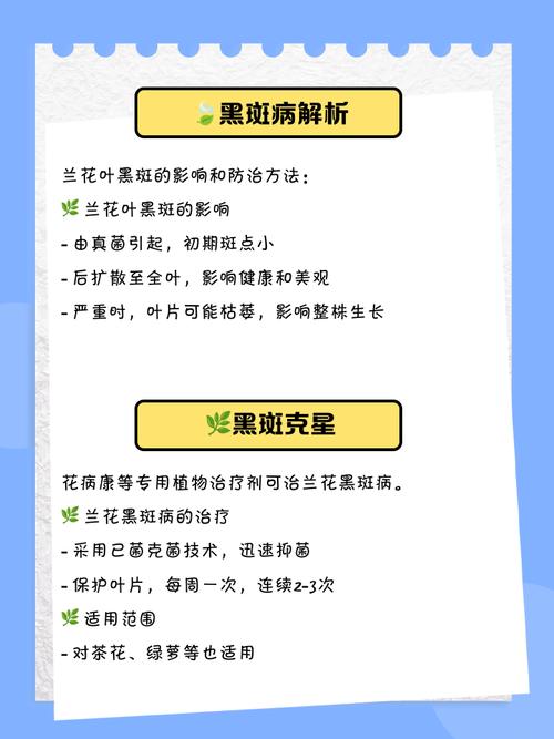 兰花叶子长黑斑怎么治？兰花叶子黑斑病怎么办