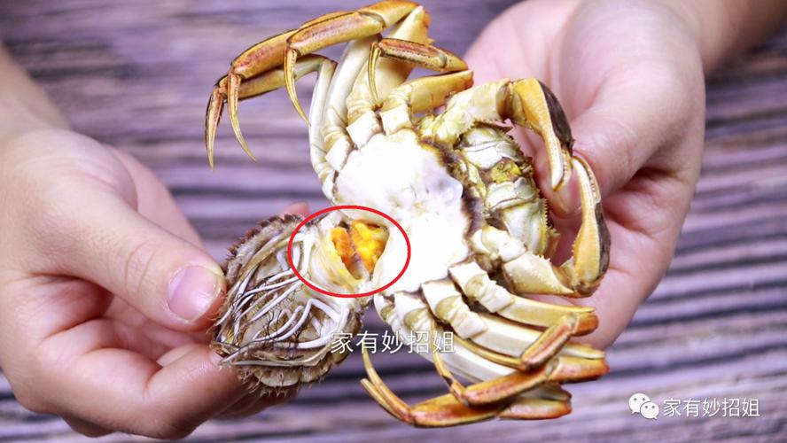 螃蟹哪个部位排泄?螃蟹哪个部位不管吃