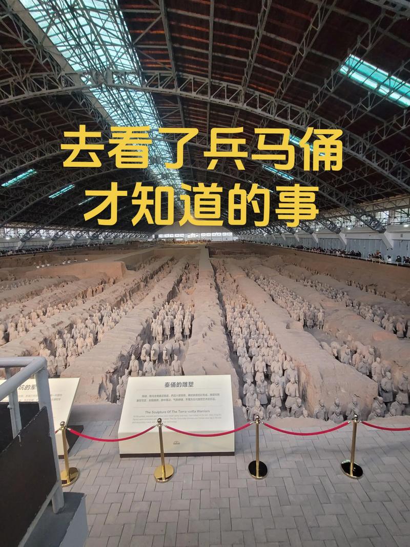 秦兵马俑为什么不继续挖掘？秦兵马俑为什么不继续挖掘了