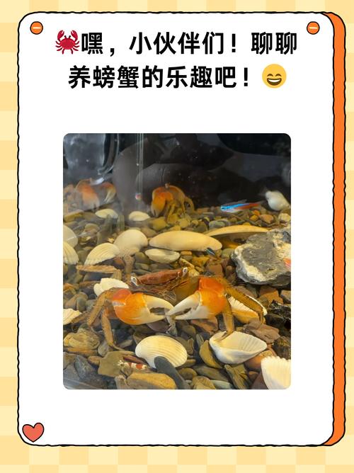 螃蟹怎么养一顿吃不完要不要加水？螃蟹怎么养放多少水