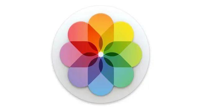 手机删除的照片和视频怎么找回?方法来了