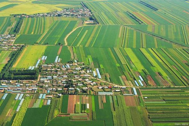 平原地区种植什么经济价值高?平原适合种植业吗