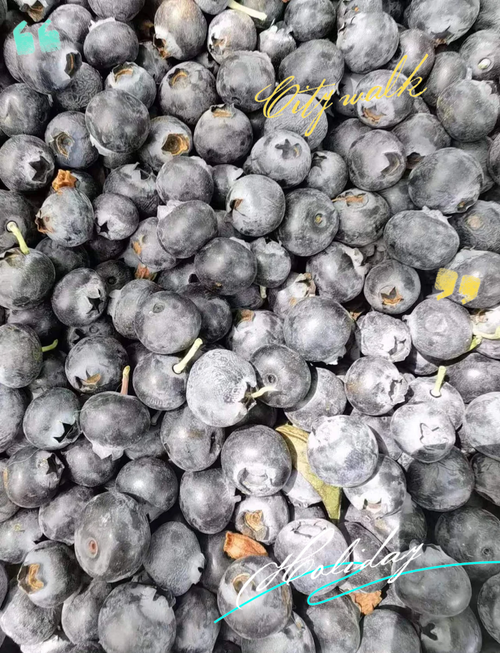 蓝莓表面的白霜有营养吗?蓝莓表面白霜很少是怎么回事