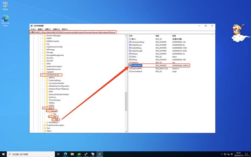 如何查看电脑的端口号?端口号有什么作用?