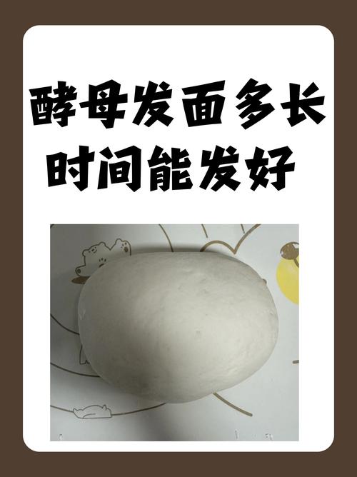 酵母发面有股怪味？酵母发面有股味道