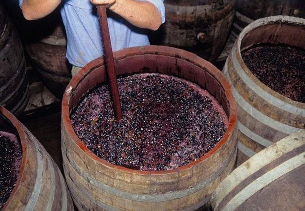 葡萄酒糟能干什么？葡萄酒糟可以做花肥吗???