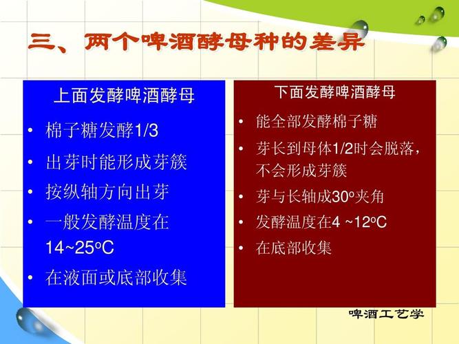 请形容一下啤酒酵母的味道的词语？优良的啤酒酵母应该具有哪些特征?