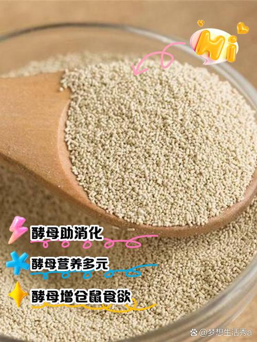 请形容一下啤酒酵母的味道的词语?优良的啤酒酵母应该具有哪些特征?