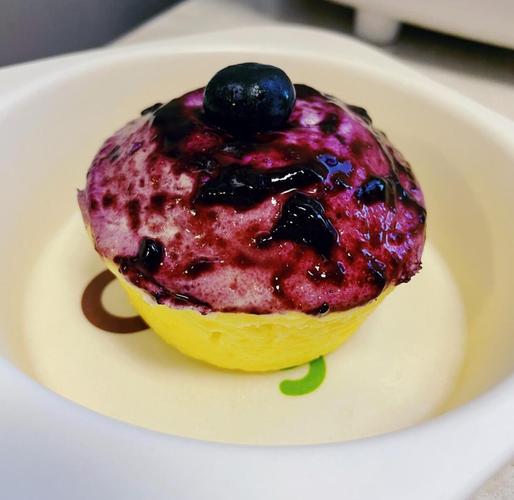 蓝莓羹的做法大全?蓝莓粥的做法大全集