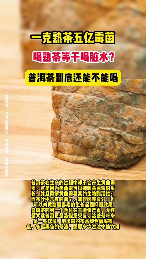 普洱茶发酵过程会产生霉菌吗?普洱茶发酵过度能喝么