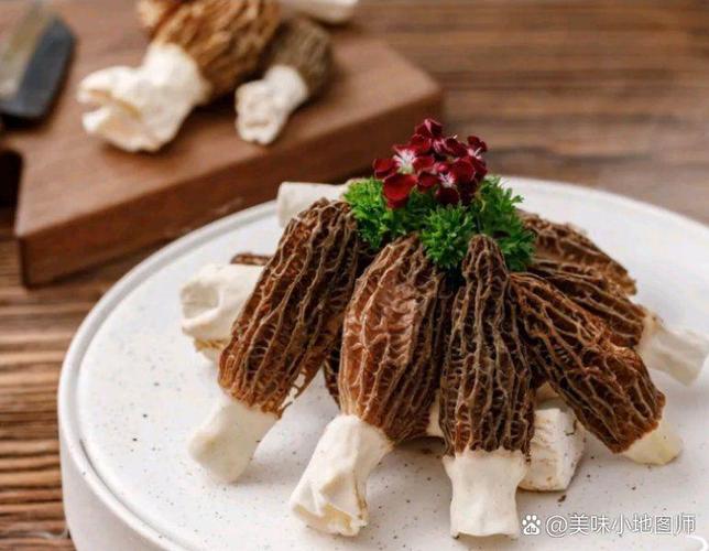 菌类菜是什么东西？菌类菜的功效