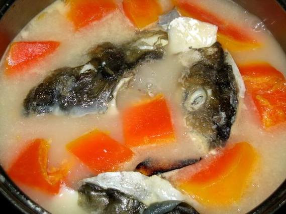 木瓜鱼头汤的做法窍门窍门?木瓜鱼头汤图片