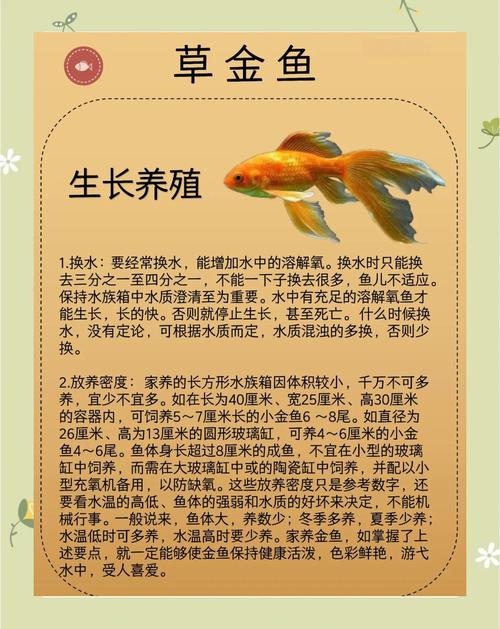 金鱼鱼苗生长速度？金鱼生长周期