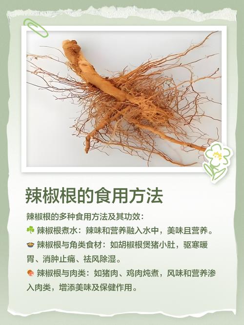 辣根是蘸醋还是蘸酱油吃？辣根蘸料怎么调好吃