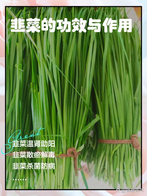 韭菜汁外敷有什么作用呢？韭菜汁的妙用