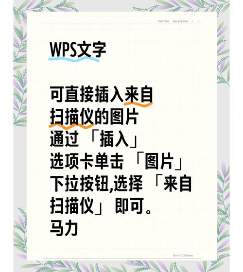 如何用电脑扫描照片？扫描照片的步骤是什么？