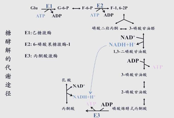 葡萄糖催化氧化后得到什么？葡萄糖催化氧化后得到什么反应