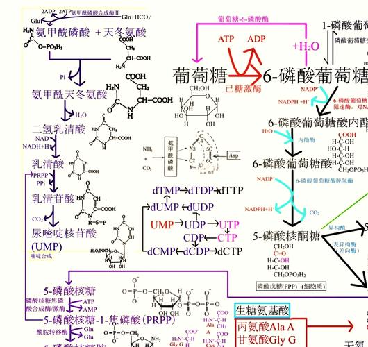 葡萄糖催化氧化后得到什么?葡萄糖催化氧化后得到什么反应