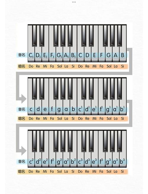 七个基本音级的音名排列正确的是？七个基本音级的两种名称
