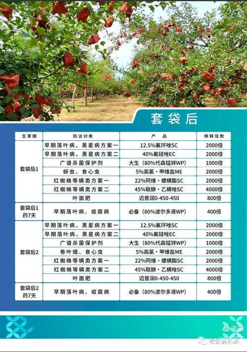 苹果树几月份喷尿素水浓度多少？苹果树施用尿素最佳时间