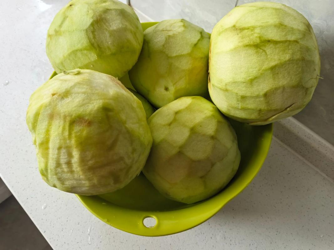 牛肉茄子鸡蛋包饺子配在一起可以吃不?牛肉茄子鸡蛋包饺子配在一起可以吃不