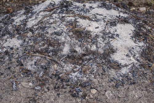 脂肪燃烧后的灰烬是什么颜色?脂肪燃烧后留下的灰烬是