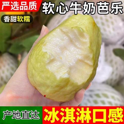 番石榴心软的可不可以吃？番石榴有点软还可以吃吗