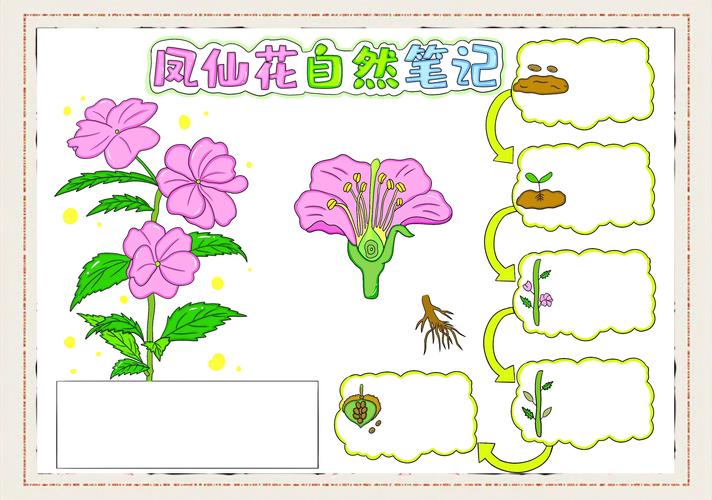 依靠弹力传播种子的植物？借助弹力传播种子的植物