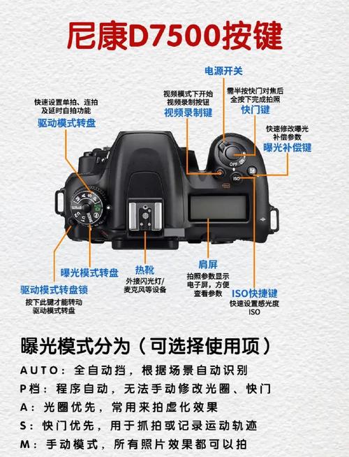 重庆尼康相机专卖店在什么地方？重庆哪里有修尼康相机的