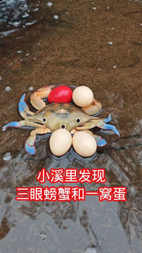 螃蟹能不能与鸡蛋同吃呢?螃蟹能和鸡蛋在一起吃吗