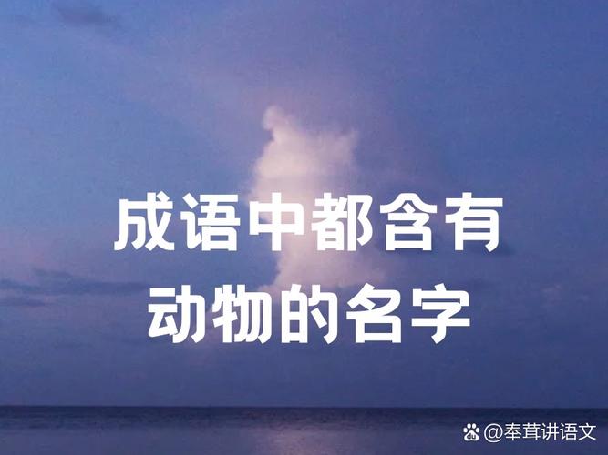 开头是书字的成语?书字开头的成语大全集