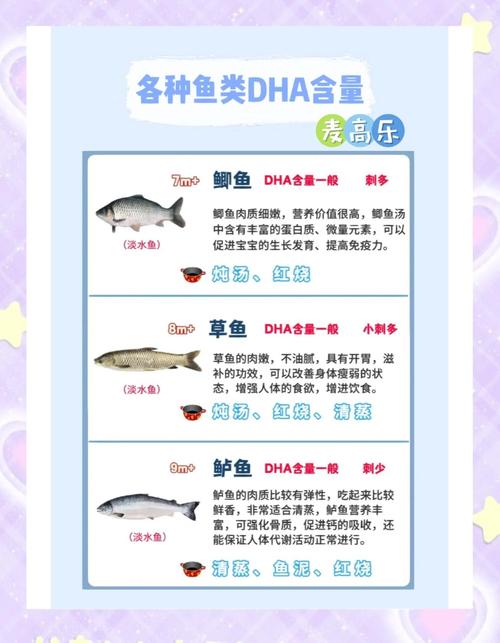 鱼是营养丰富的海鲜,它的贝壳?贝类和鱼类营养价值区别