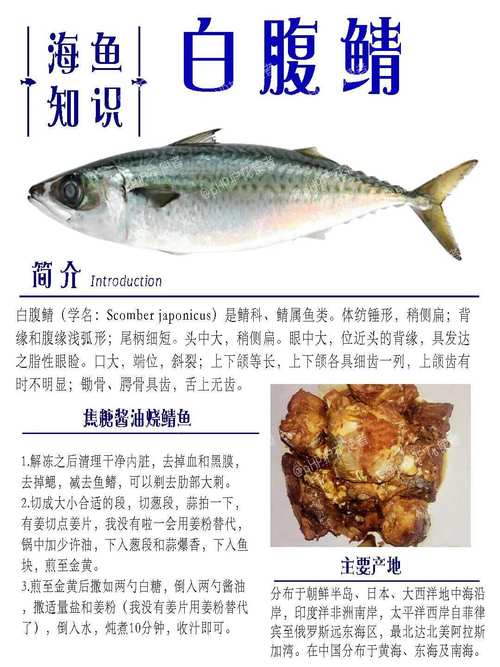 鱼是营养丰富的海鲜,它的贝壳?贝类和鱼类营养价值区别